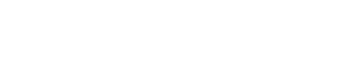 BlueMouse LLC - digital solutions